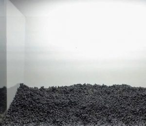 buoc-1-huong-dan-tu-lam-ho-ca-thuy-sinh - Cách xử lý nền bị xì - Aquascape & Planted Tank Guide