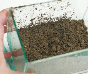 1 (1) - Các công thức làm nền trộn cho bể thủy sinh - Aquascape & Planted Tank Guide