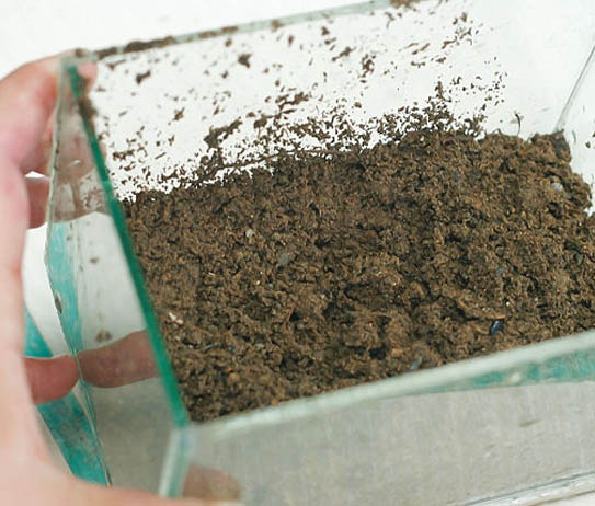 1 (1) - Các công thức làm nền trộn cho bể thủy sinh - Aquascape & Planted Tank Guide