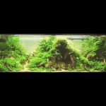 1 - Hades’Breath (HD video 1080p) - Aquascape & Planted Tank Guide