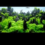 Untitled-1 - SHILIN – TOP 27 IAPLC 2015 (HD video 1080p) - Aquascape & Planted Tank Guide