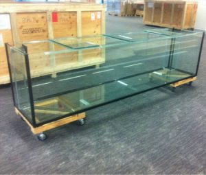 2 - Vấn đề 1: NÊN CHỌN MỘT BỂ KÍNH NHƯ THẾ NÀO? - Aquascape & Planted Tank Guide