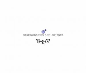 Untitled-1 - Top 7 IALPC 2016 - Aquascape & Planted Tank Guide