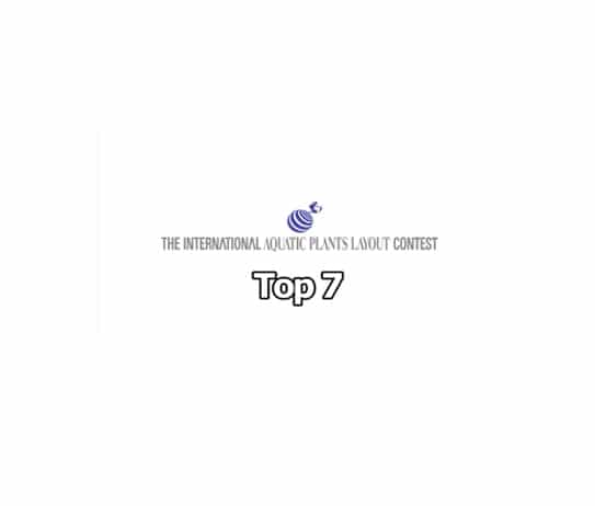 Untitled-1 - Top 7 IALPC 2016 - Aquascape & Planted Tank Guide
