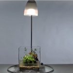 1 - Cách tạo một chậu Wabi-Kusa - Aquascape & Planted Tank Guide