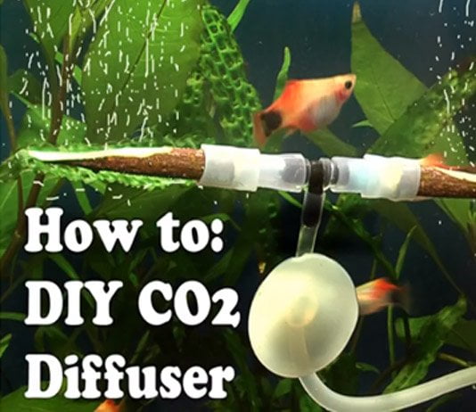 4d4c664e8e775 - Cách Chế một đầu sủi CO2 rất mịn cho những bạn không có điều kiện mua cục sứ sủi. - Aquascape & Planted Tank Guide