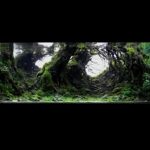 Untitled-1 - Top 21 – IAPLC 2016 - Aquascape & Planted Tank Guide