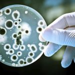 how-bacteria-work-orig - Vi sinh trong hồ thủy sinh là gì? Tầm quan trọng của nó như thế nào? - Aquascape & Planted Tank Guide