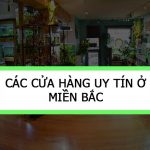 1 - Danh sách cửa hàng uy tín ở Miền Bắc - Aquascape & Planted Tank Guide
