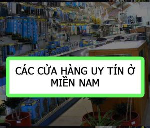 1 - Danh sách các cửa hàng uy tín ở Miền Nam - Aquascape & Planted Tank Guide