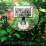1 - Nhiệt độ trong bể thủy sinh quan trọng như thế nào? - Aquascape & Planted Tank Guide