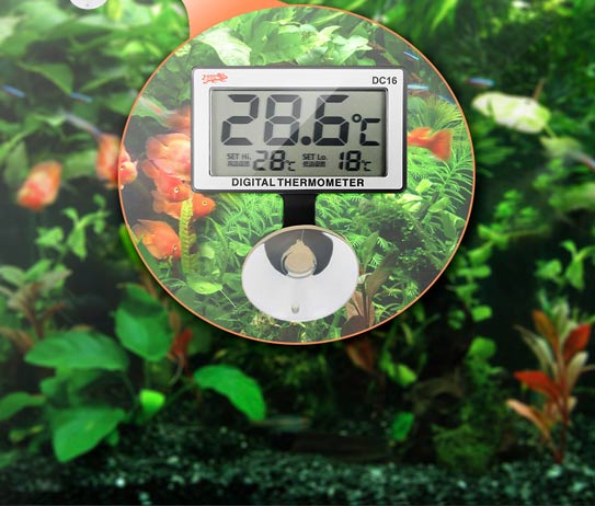 1 - Nhiệt độ trong bể thủy sinh quan trọng như thế nào? - Aquascape & Planted Tank Guide