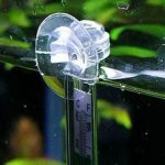 Untitled-1 - Nhiệt độ trong bể thủy sinh quan trọng như thế nào? - Aquascape & Planted Tank Guide