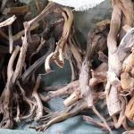Untitled-1 - Cách xử lý lũa trong bể thủy sinh - Aquascape & Planted Tank Guide