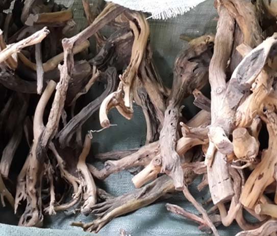 Untitled-1 - Cách xử lý lũa trong bể thủy sinh - Aquascape & Planted Tank Guide