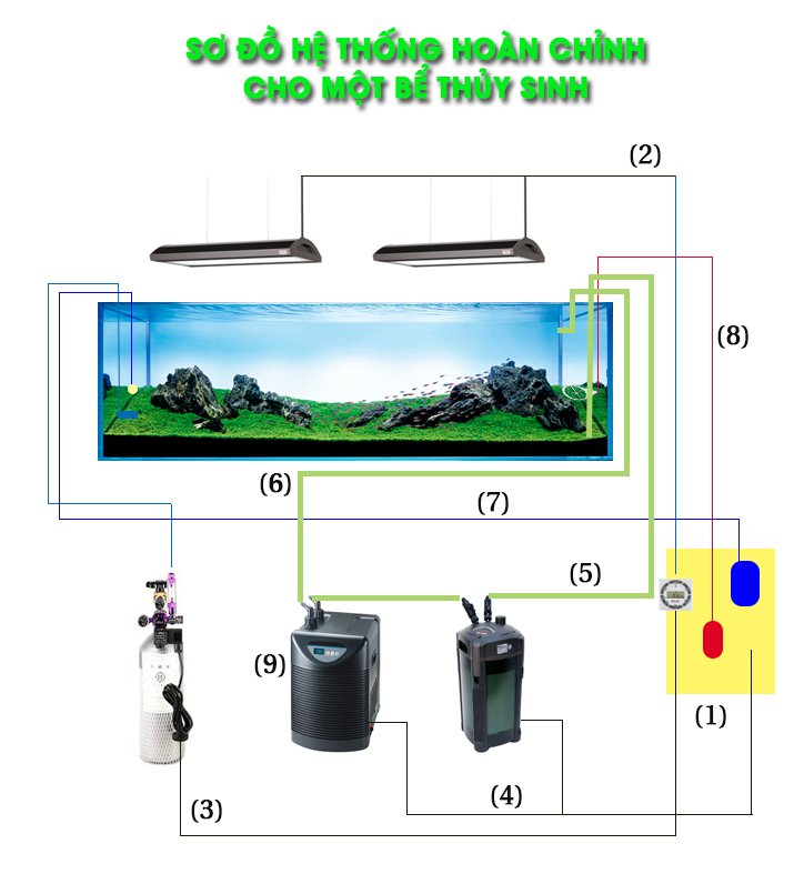 SYSTEM - Sơ đồ hệ thống hoàn chỉnh cho một bể thủy sinh - Aquascape & Planted Tank Guide