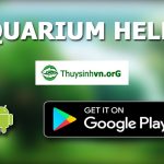 feature banner facebook - Aquascape & Planted Tank Guide