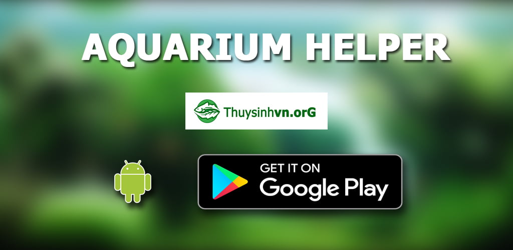 feature banner facebook - Aquascape & Planted Tank Guide