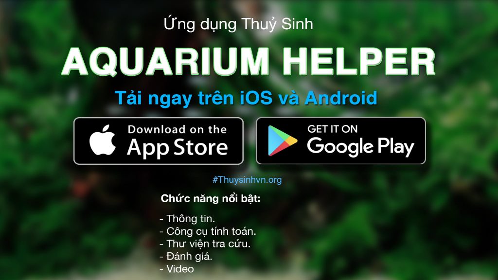 Aquarium_app_poster - Phát hành bản iOS và Nâng cấp bản Android cho ứng dụng AQUARIUM HELPER - Aquascape & Planted Tank Guide