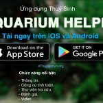Aquarium_app_poster - Phát hành bản iOS và Nâng cấp bản Android cho ứng dụng AQUARIUM HELPER - Aquascape & Planted Tank Guide