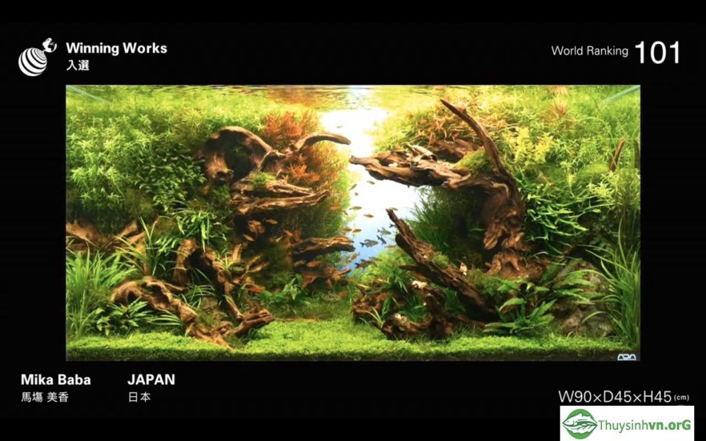 101 - IAPLC 2019 - Aquascape & Planted Tank Guide
