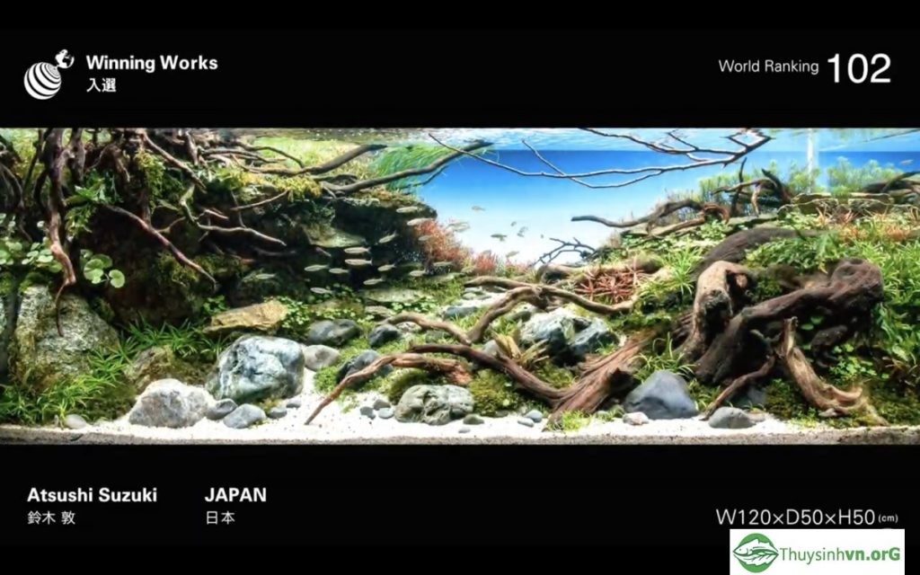 102 - IAPLC 2019 - Aquascape & Planted Tank Guide