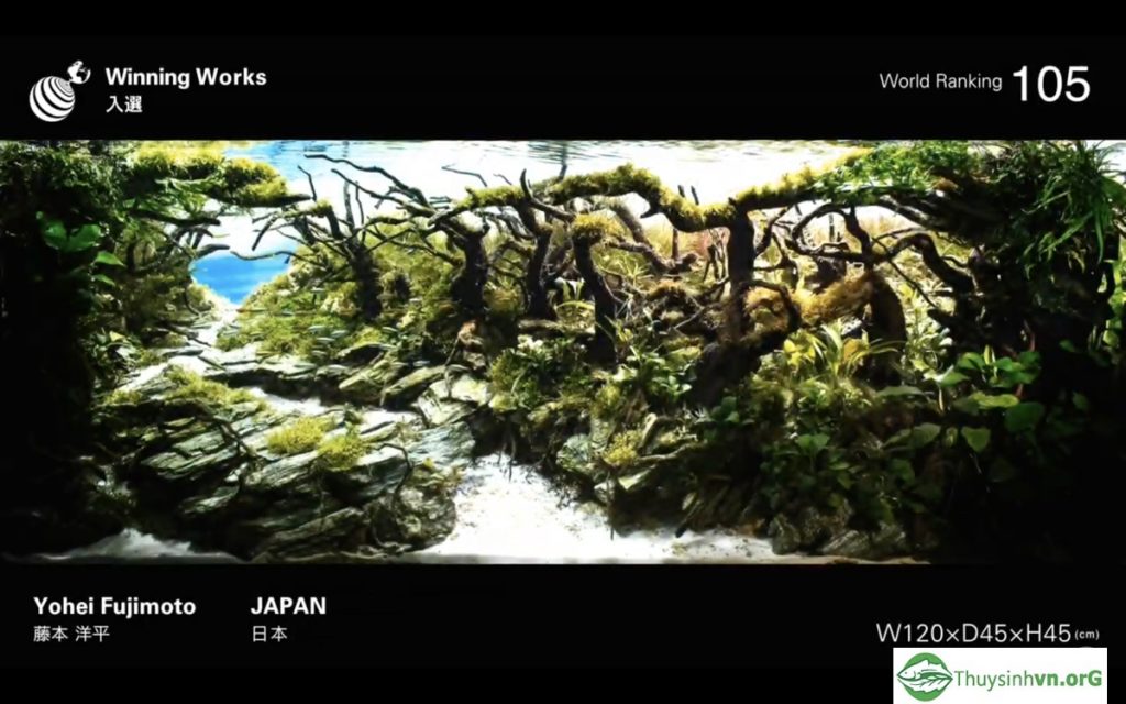 105 - IAPLC 2019 - Aquascape & Planted Tank Guide