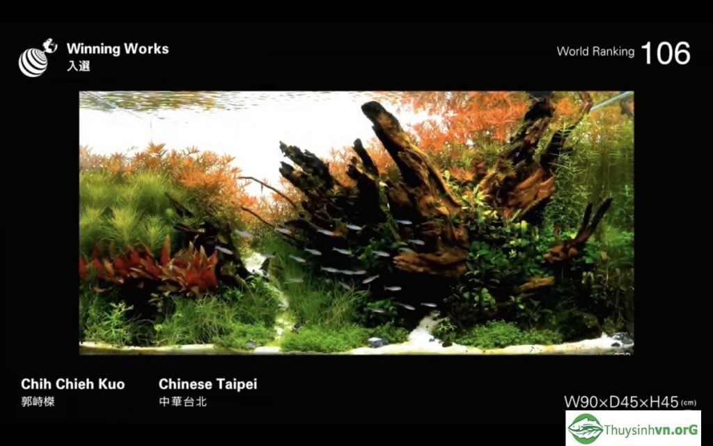 106 - IAPLC 2019 - Aquascape & Planted Tank Guide