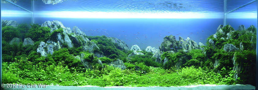 1280(1) - Library - Aquascape & Planted Tank Guide