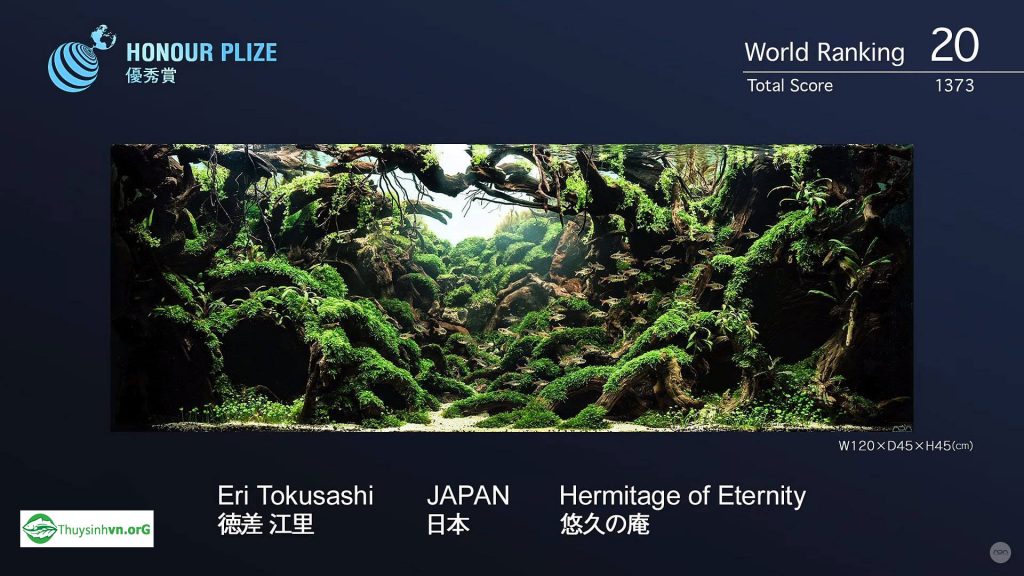 20 - Top 100 IAPLC 2017 - Aquascape & Planted Tank Guide