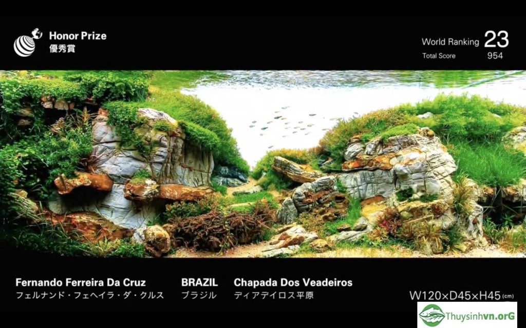 23 - IAPLC 2019 - Aquascape & Planted Tank Guide