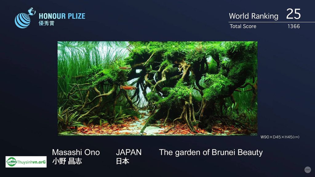 25 - Top 100 IAPLC 2017 - Aquascape & Planted Tank Guide