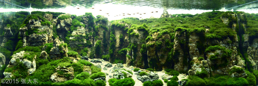 2720(1) - Library - Aquascape & Planted Tank Guide