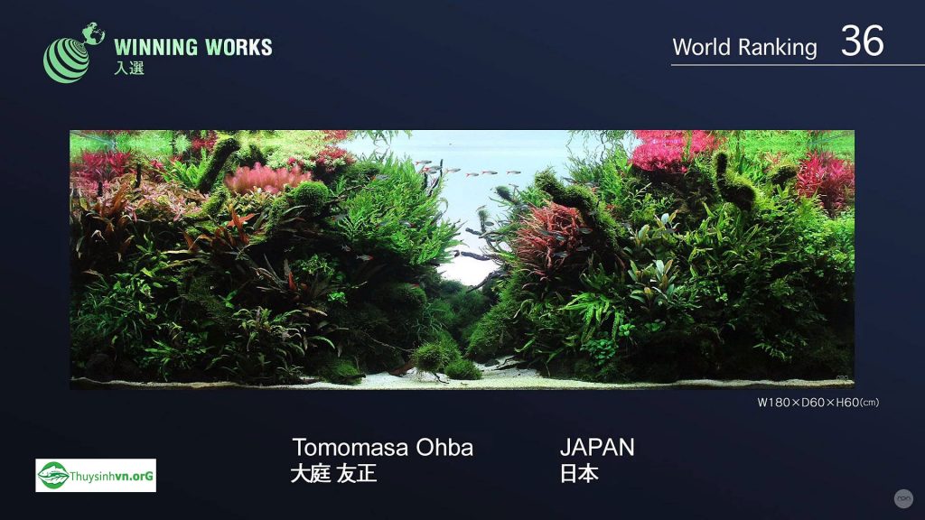 36 - Top 100 IAPLC 2017 - Aquascape & Planted Tank Guide