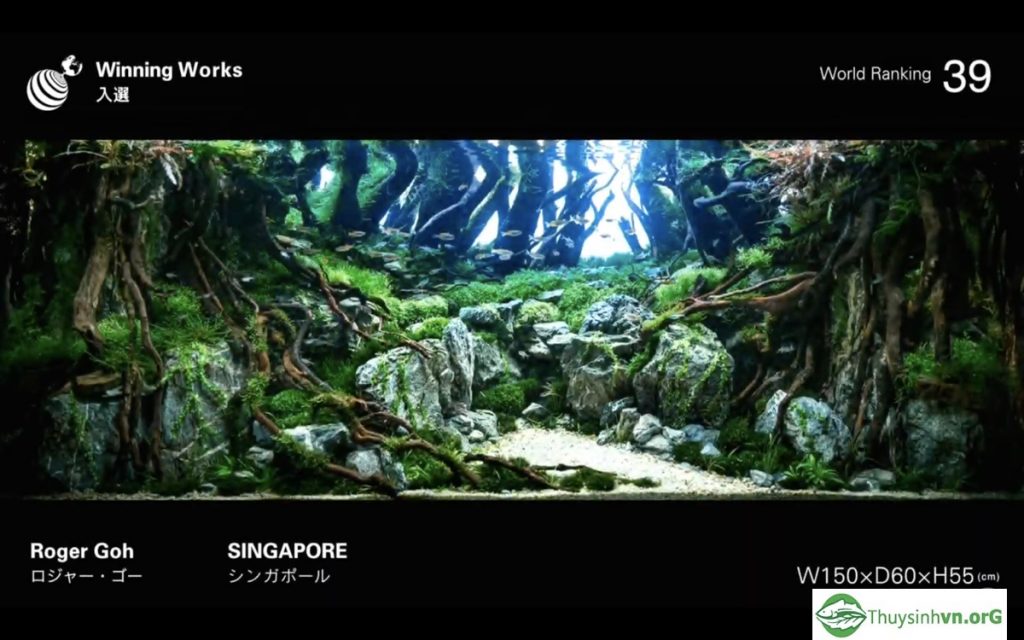 39 - IAPLC 2019 - Aquascape & Planted Tank Guide