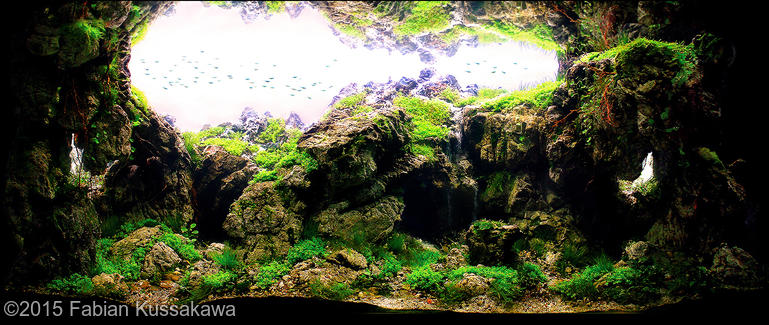 4360(1) - Library - Aquascape & Planted Tank Guide