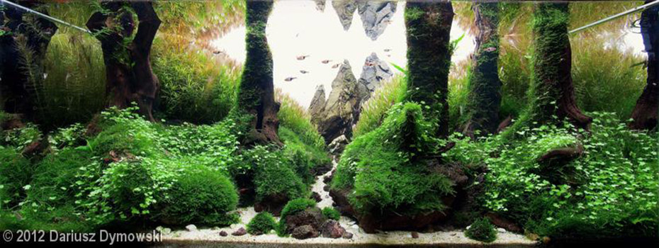 490(1) - Library - Aquascape & Planted Tank Guide