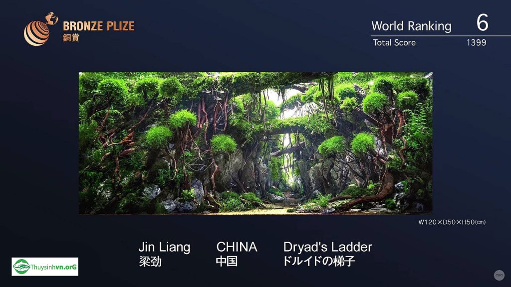 6 - Top 100 IAPLC 2017 - Aquascape & Planted Tank Guide