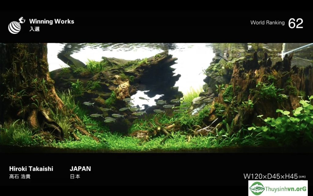 62 - IAPLC 2019 - Aquascape & Planted Tank Guide