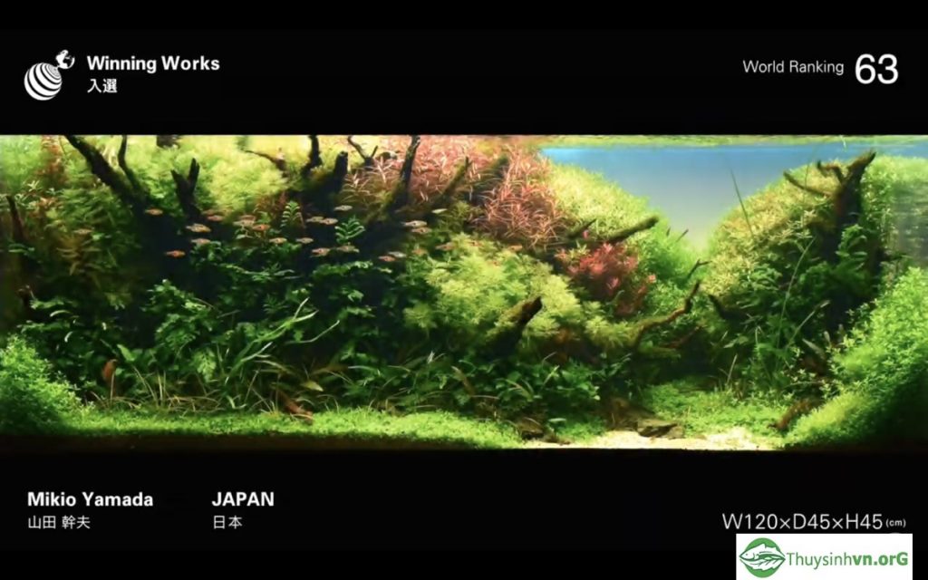 63 - IAPLC 2019 - Aquascape & Planted Tank Guide