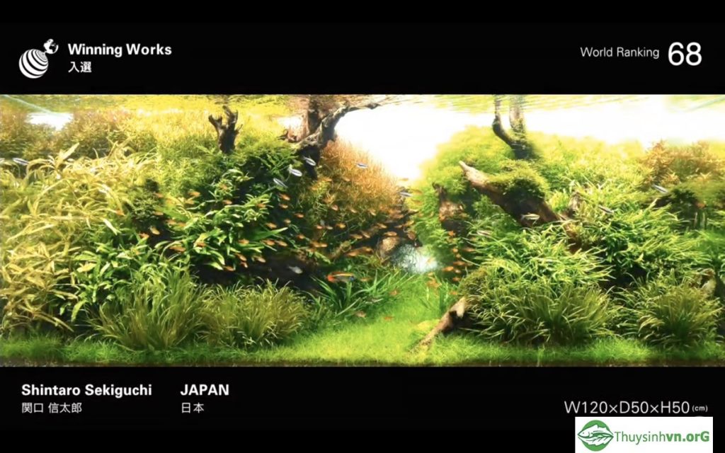 68 - IAPLC 2019 - Aquascape & Planted Tank Guide