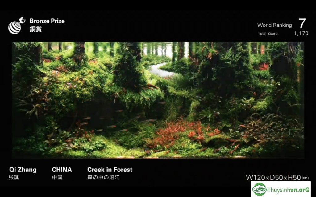 7 - IAPLC 2019 - Aquascape & Planted Tank Guide
