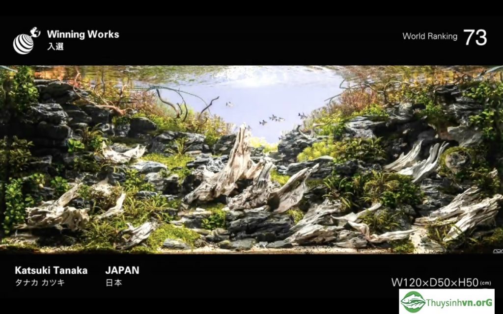 73 - IAPLC 2019 - Aquascape & Planted Tank Guide
