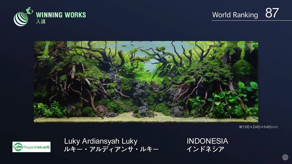87 - Top 100 IAPLC 2017 - Aquascape & Planted Tank Guide