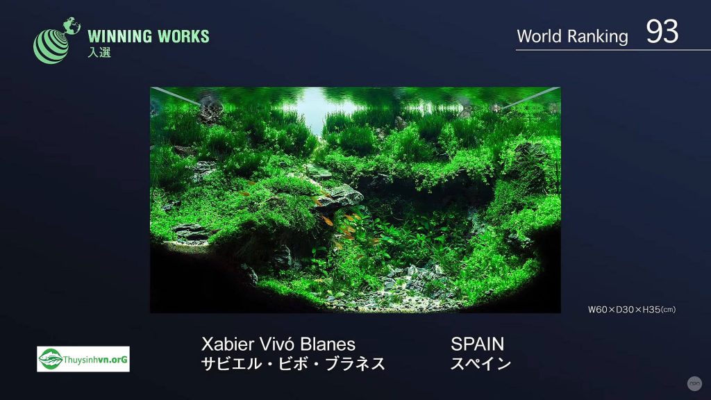 93 - Top 100 IAPLC 2017 - Aquascape & Planted Tank Guide