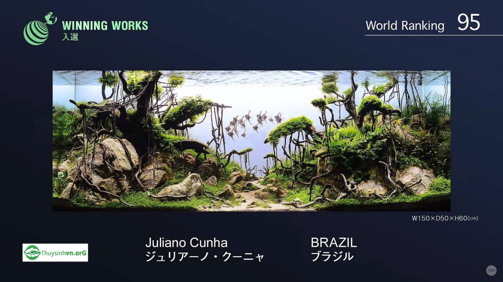 95 - Top 100 IAPLC 2017 - Aquascape & Planted Tank Guide