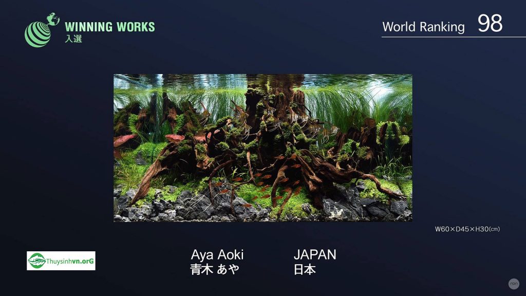 98 - Top 100 IAPLC 2017 - Aquascape & Planted Tank Guide