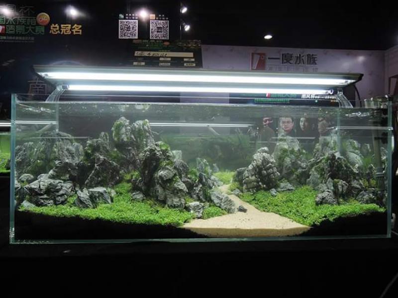 FB_IMG_1436349071237 - Library - Aquascape & Planted Tank Guide