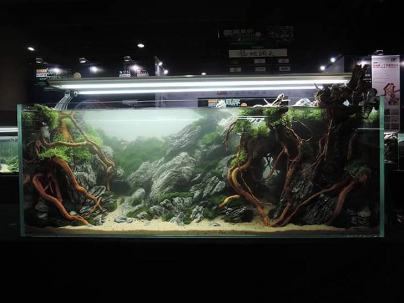 FB_IMG_1436349094664 - Library - Aquascape & Planted Tank Guide