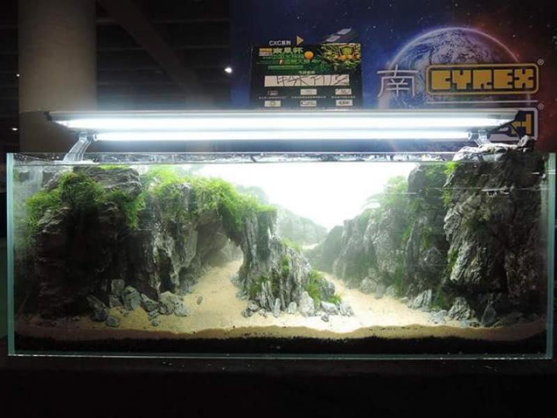 FB_IMG_1436349110674 - Library - Aquascape & Planted Tank Guide